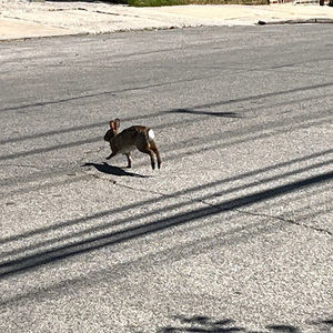 Meet your Posher, Tajh